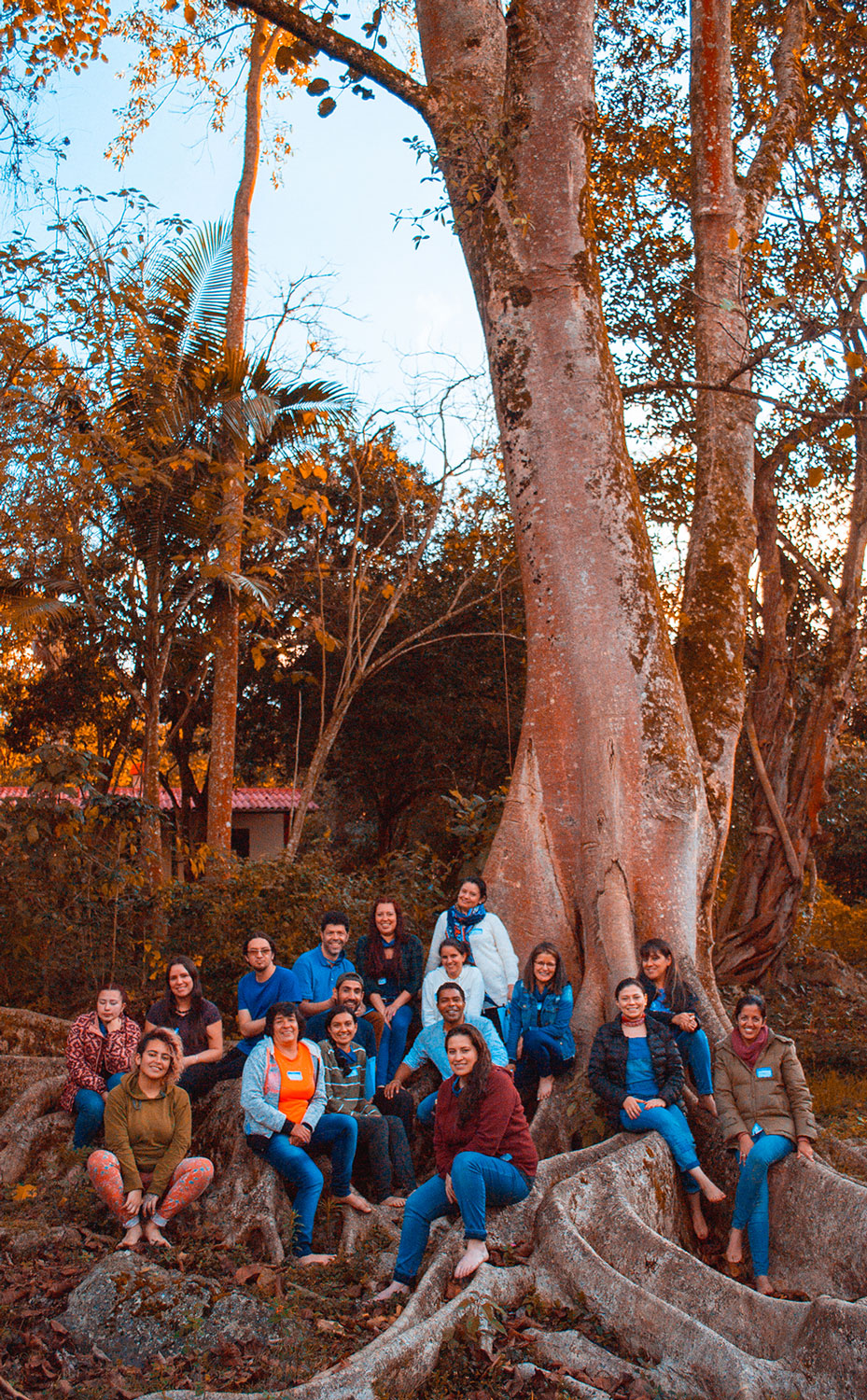 Jornada de Restauración Emocional